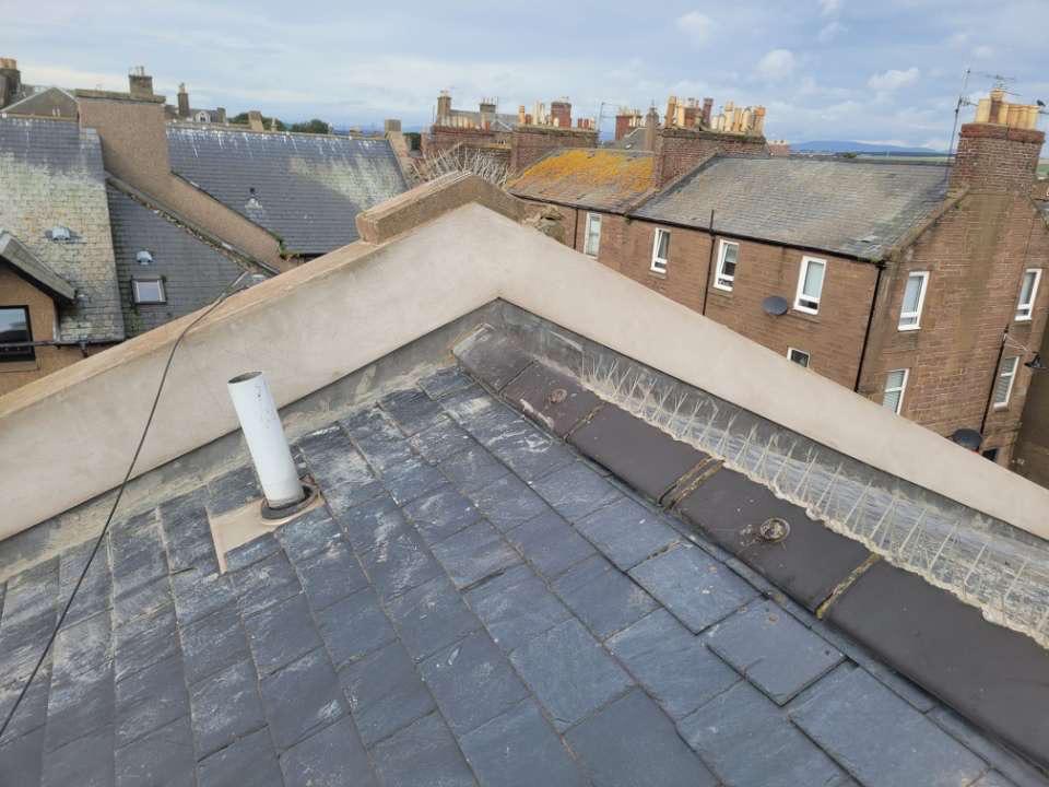 Completed roofline and coping work